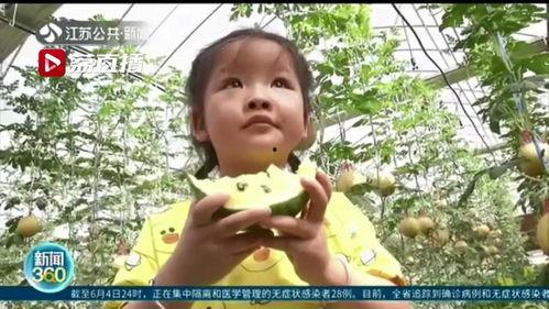 小苏吃瓜后续,揭秘娱乐圈背后的真相与反转  第2张